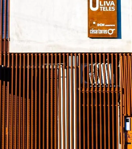 Oliva Teles 53 - Sophia Terrace